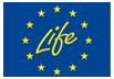 life flag